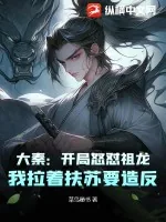 《大秦：开局怒怼祖龙，我拉着扶苏要造反》小说封面