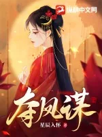 《夺凤谋》小说封面