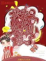《娘娘拉仇恨的姿势帅爆了》小说封面