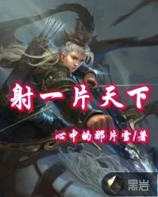 《射一片天下》小说封面