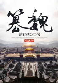 《篡魏》小说封面