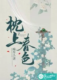 《枕上春色》小说封面