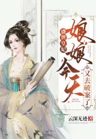 《盛世皇妃：娘娘今天又去破案了》小说封面