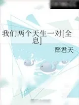 《我们两个天生一对[全息]》小说封面