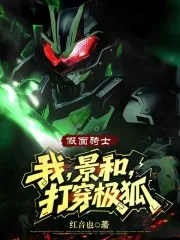 《假面骑士：我，景和，打穿极狐》小说封面