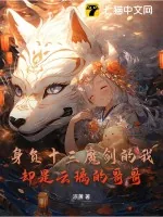 《身负十三魔剑的我却是云璃的哥哥》小说封面