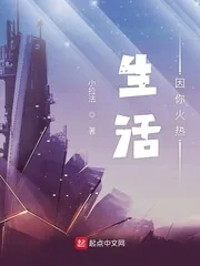 《生活因你火热》小说封面