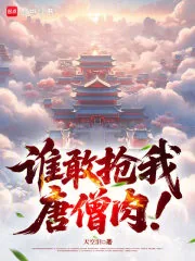 《谁敢抢我唐僧肉！》小说封面