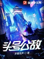 《头号公敌》小说封面